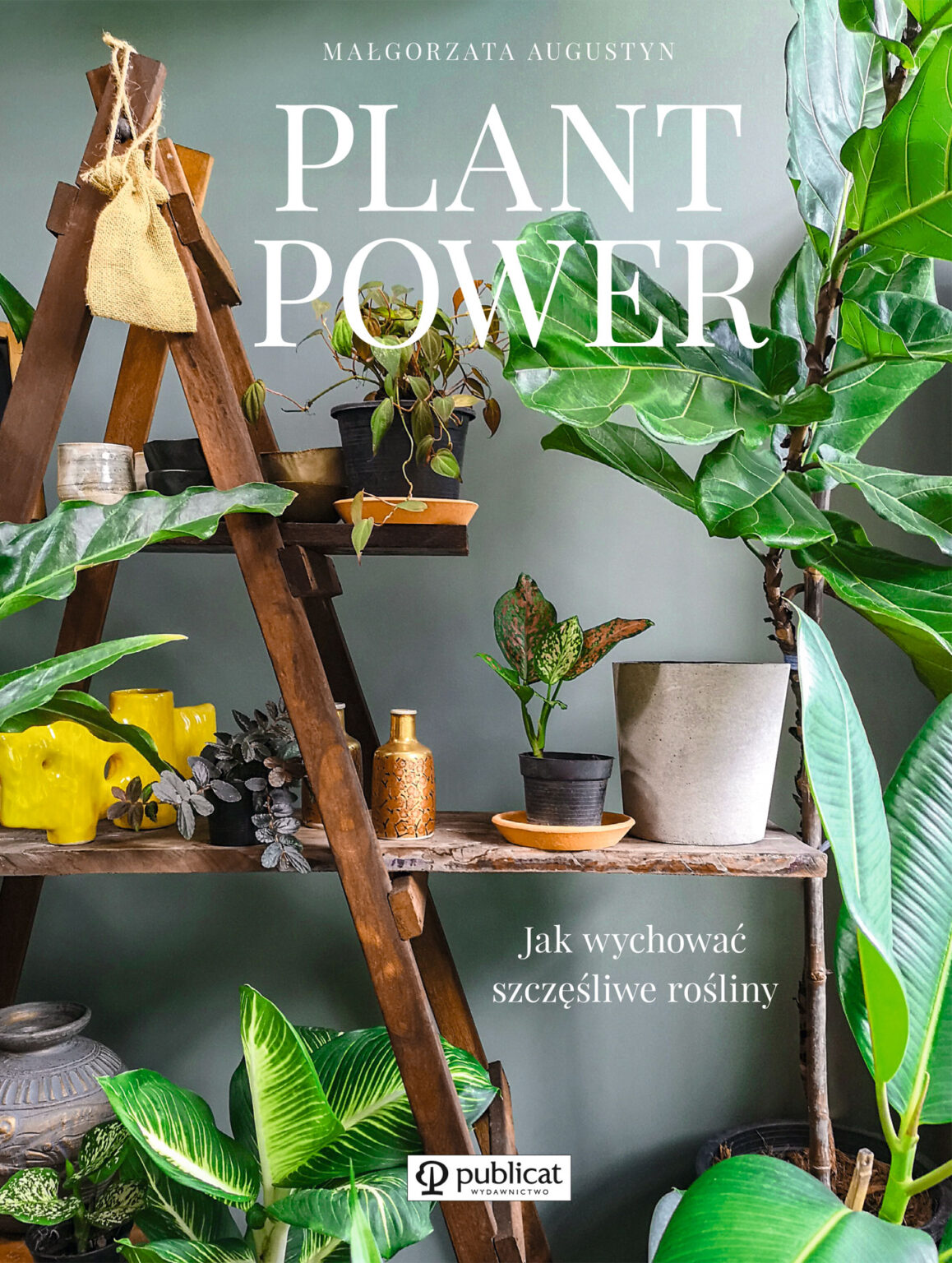 Okładka książki Plant Power. Jak wychować szczęśliwe rośliny